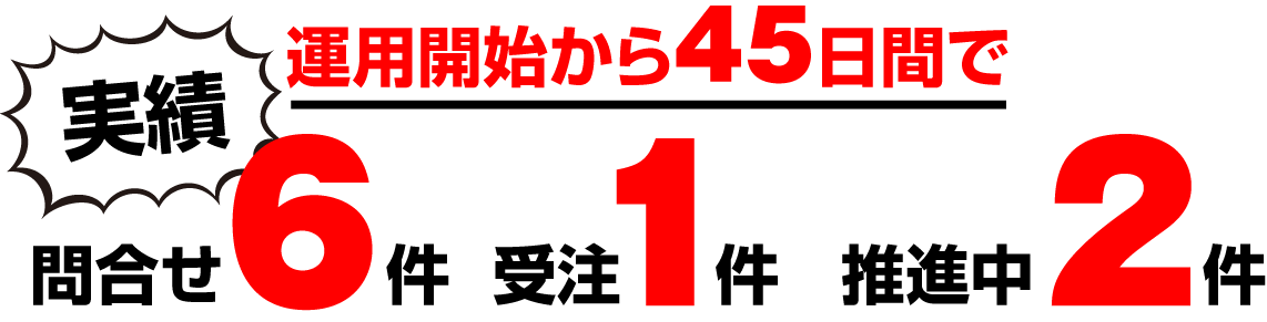 実績